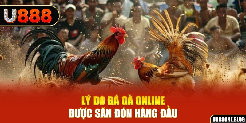 ku11 link sòng bạc ĐĂNG NHẬP